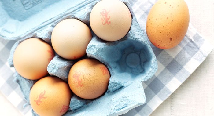 What Are The Advantages Of Male Eggs?