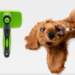 Review: The BarxBuddy Self-Cleaning Dog Brush Is Genius
