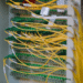 Strengthen Connectivity and Security with Managed Network Services